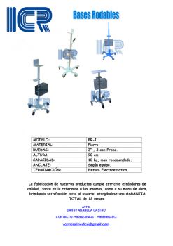 BR-1-pdf-copia